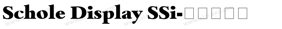 Schole Display SSi字体转换